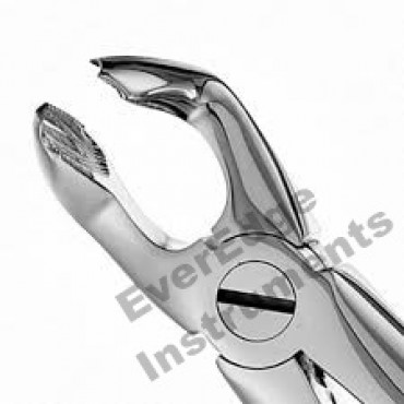 79 Extraction Forceps / for lower molars wisdom teeth / Extra Shine Ergonomic Handle