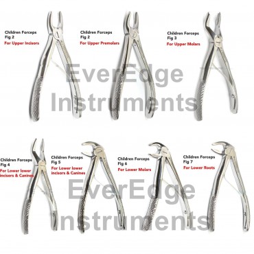 Baby Extraction Forceps Kit of 7pcs /  Kids Forceps / Pedo Forceps / Children Forceps / Tooth Extraction Forceps / Surgical instruments
